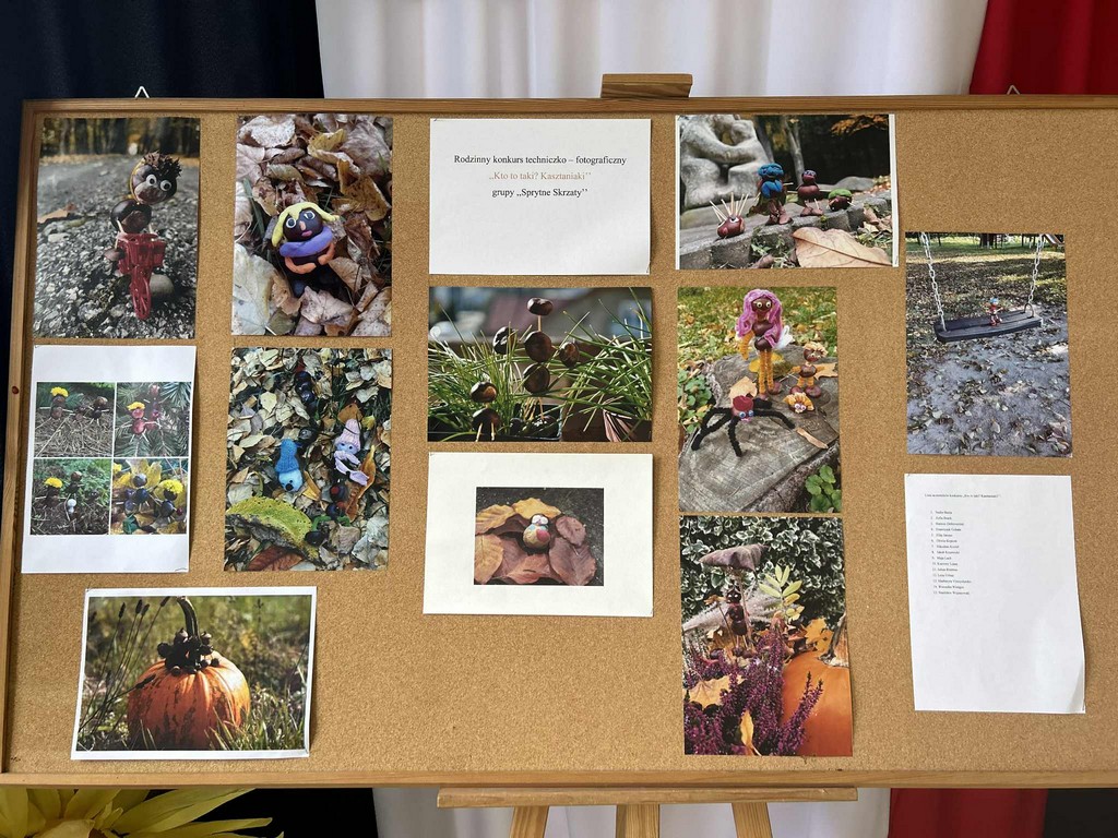 Rodzinny konkurs techniczno - fotograficzny ,,Kto to taki? Kasztaniaki''